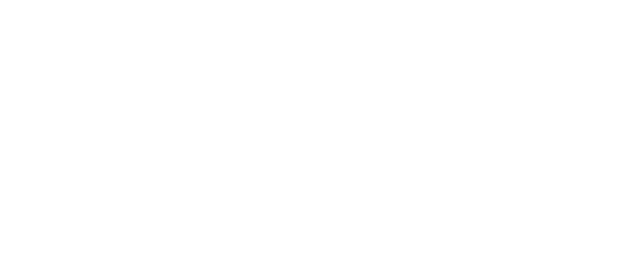 DipDig